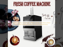 Phục vụ đa dạng các loại cà phê đặc biệt nhanh chóng với Máy bán cà phê Bean To Cup Macas cho các cơ sở bận rộn